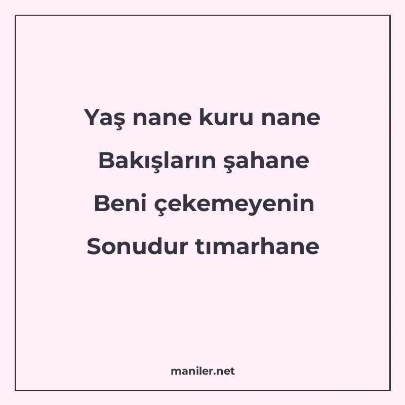Yaş nane kuru nane Bakışların şahane Beni çekemeyenin Sonudu manisi görseli
