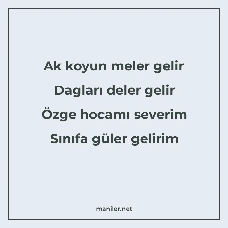 Ak koyun meler gelir Dagları deler gelir Özge hocamı severim