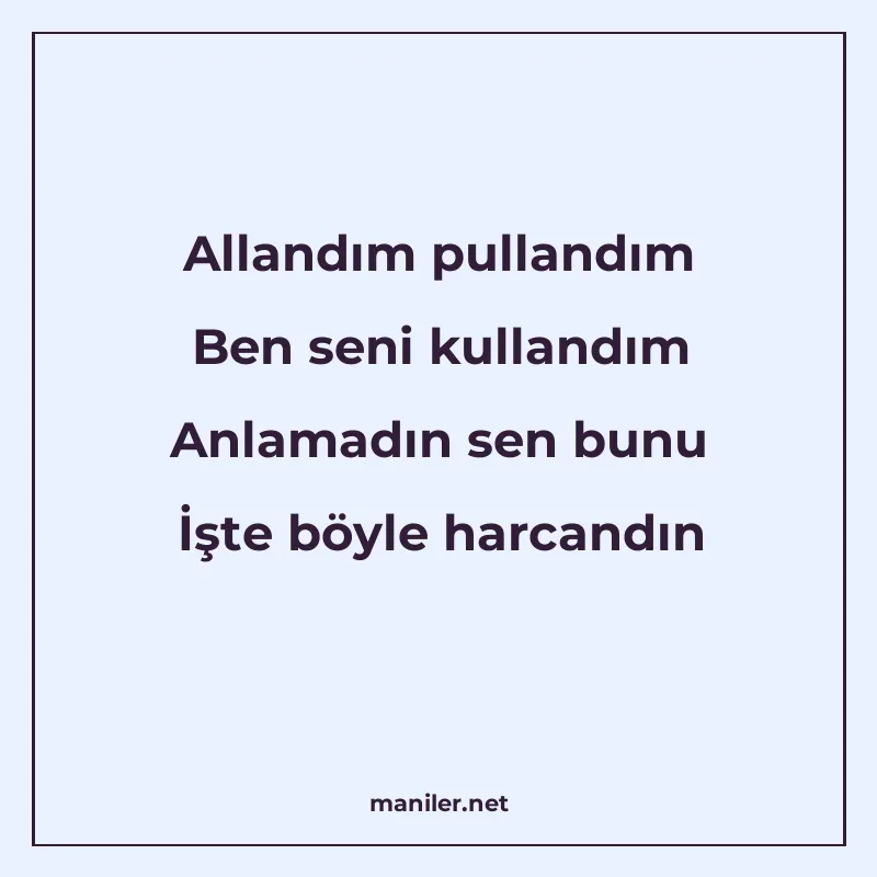 Allandım pullandım Ben seni kullandım Anlamadın sen bunu İşt manisi görseli