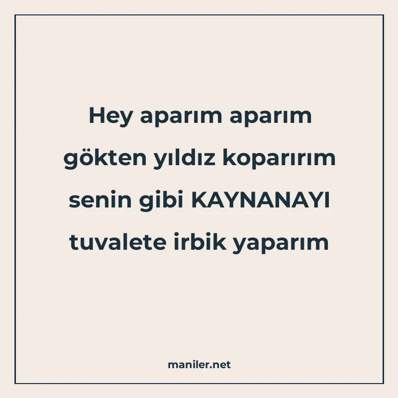 Hey aparım aparım gökten yıldız koparırım senin gibi KAYNANA manisi görseli