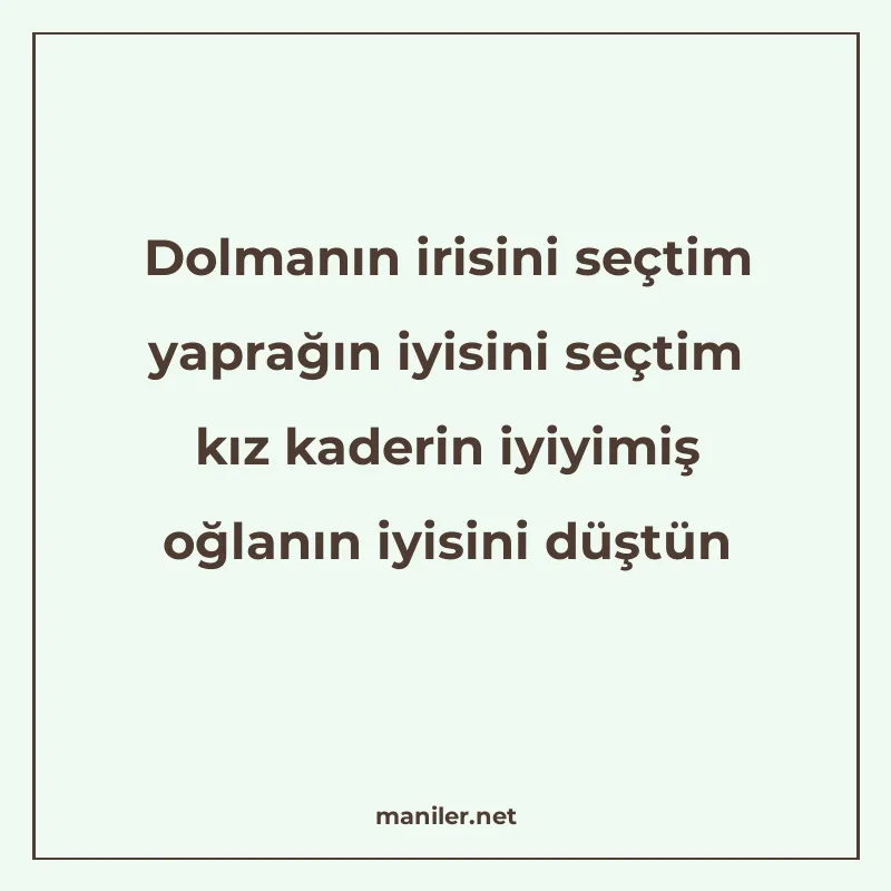 Dolmanın irisini seçtim yaprağın iyisini seçtim kız kaderin manisi görseli