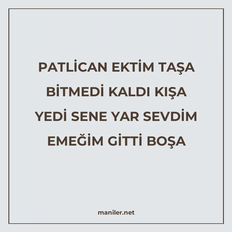 PATLİCAN EKTİM TAŞA BİTMEDİ KALDI KIŞA YEDİ SENE YAR SEVDİM manisi görseli