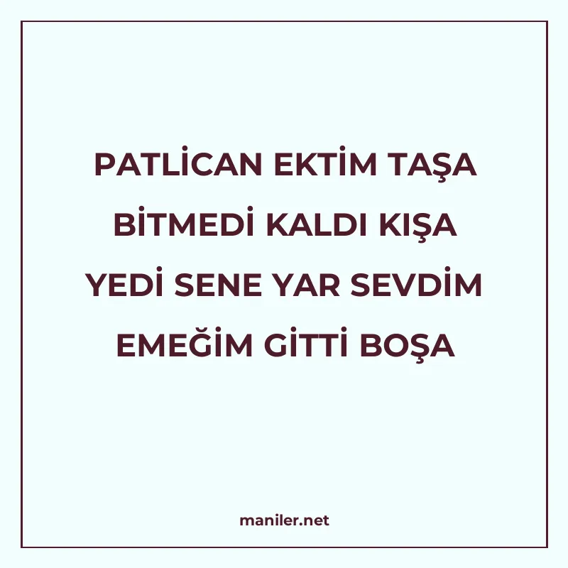 PATLİCAN EKTİM TAŞA BİTMEDİ KALDI KIŞA YEDİ SENE YAR SEVDİM manisi görseli