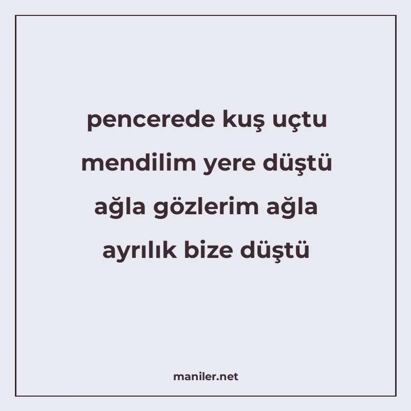 pencerede kuş uçtu mendilim yere düştü ağla gözlerim ağla ay manisi görseli