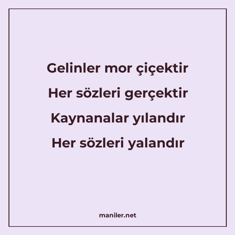 Gelinler mor çiçektir Her sözleri gerçektir Kaynanalar yılan manisi görseli