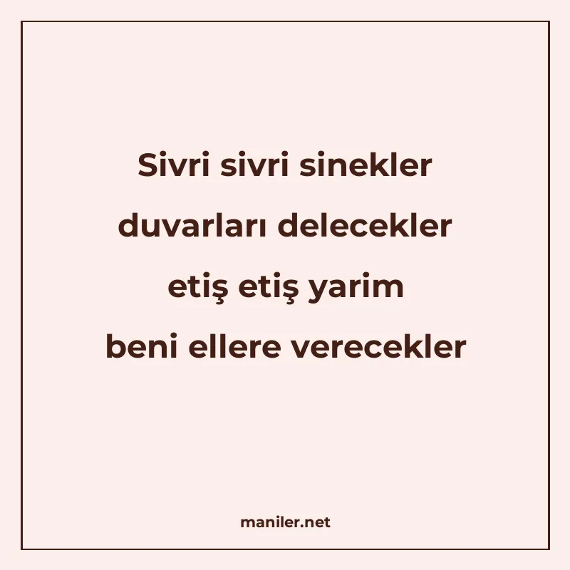 Sivri sivri sinekler duvarları delecekler etiş etiş yarim be manisi görseli