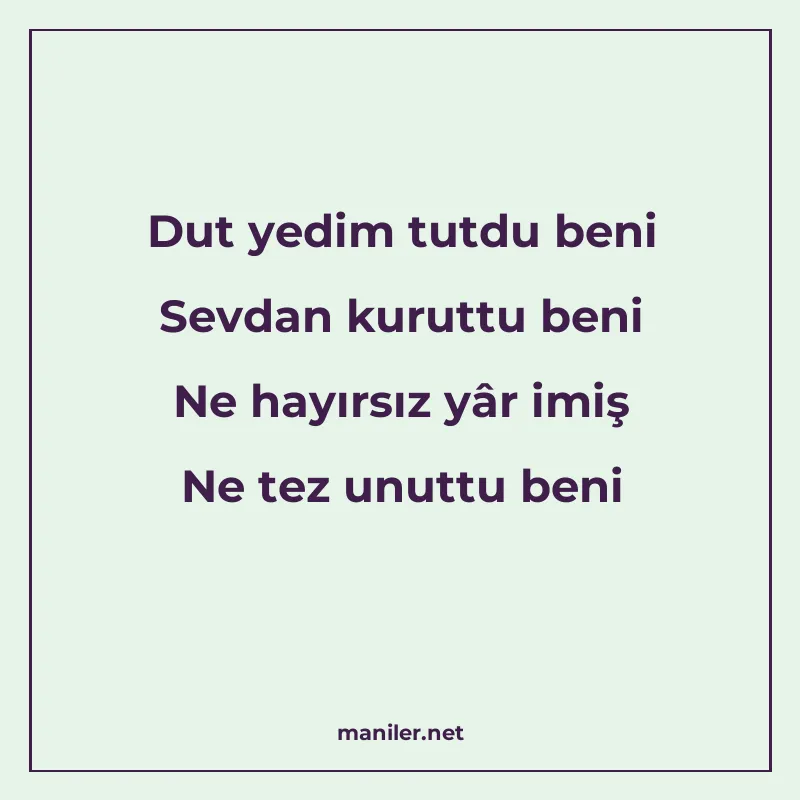 Dut yedim tutdu beni Sevdan kuruttu beni Ne hayırsız yâr imi manisi görseli