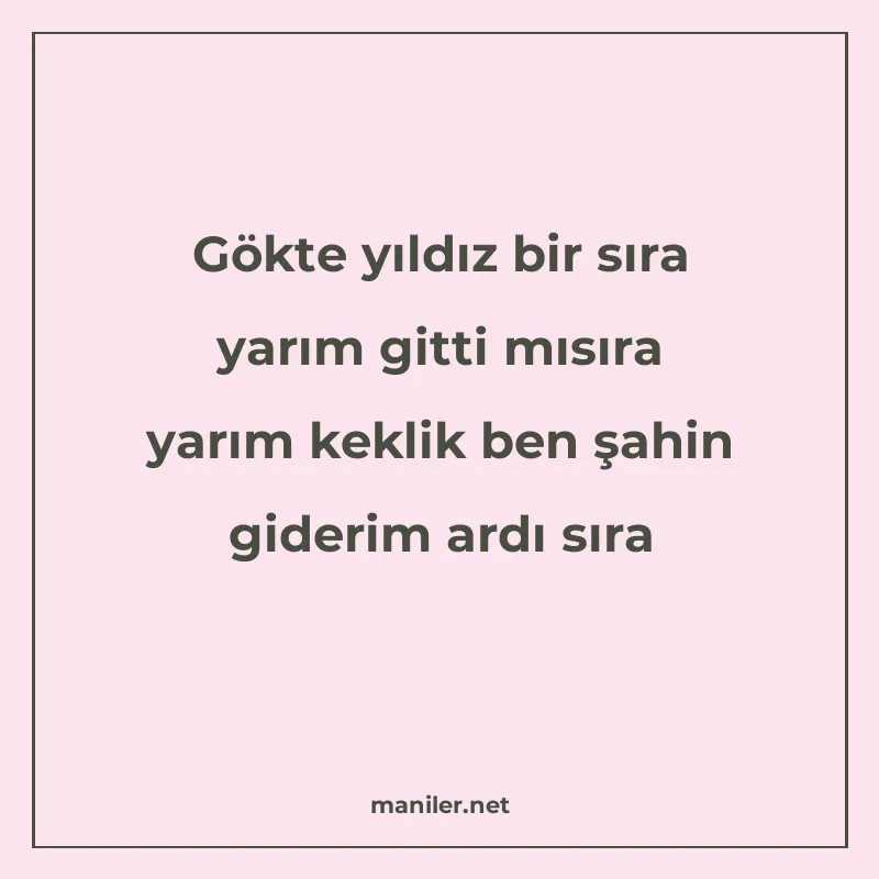 Gökte yıldız bir sıra yarım gitti mısıra yarım keklik ben şa manisi görseli