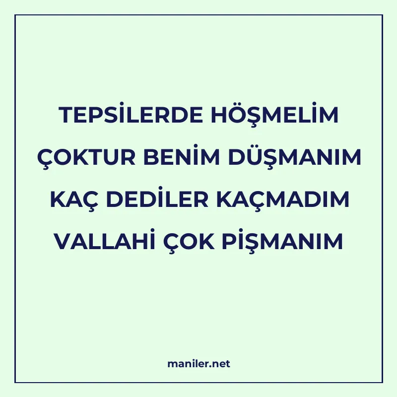 TEPSİLERDE HÖŞMELİM ÇOKTUR BENİM DÜŞMANIM KAÇ DEDİLER KAÇMAD manisi görseli