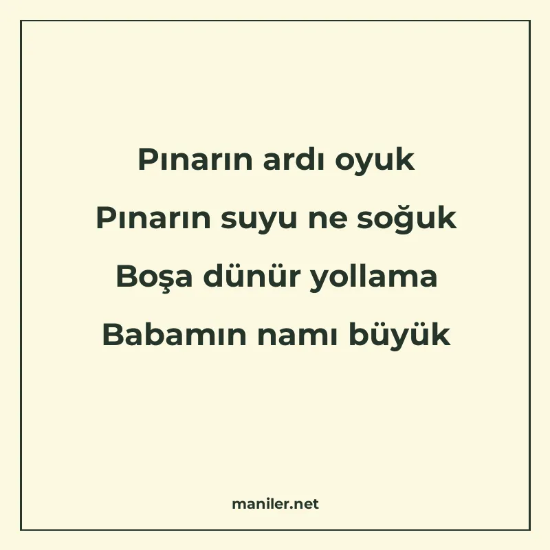 Pınarın ardı oyuk Pınarın suyu ne soğuk Boşa dünür yollama B manisi görseli