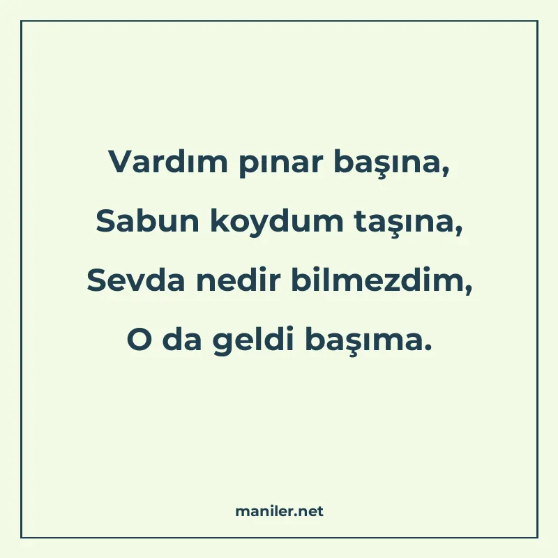 Vardım pınar başına, Sabun koydum taşına, Sevda nedir bilmez manisi görseli