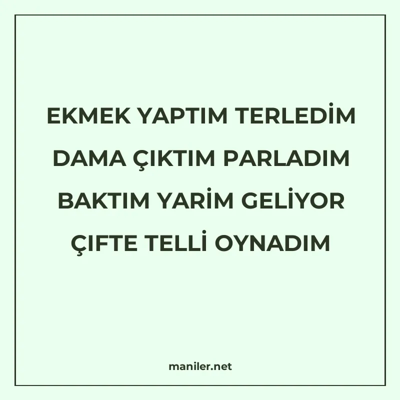 EKMEK YAPTIM TERLEDİM DAMA ÇIKTIM PARLADIM BAKTIM YARİM GELİ manisi görseli