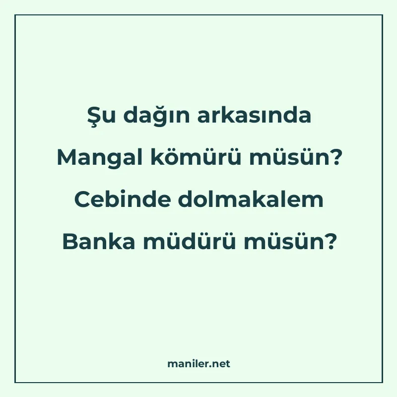 Şu dağın arkasında Mangal kömürü müsün? Cebinde dolmakalem B manisi görseli