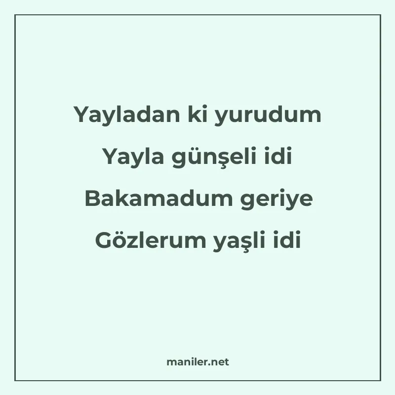Yayladan ki yurudum Yayla günşeli idi Bakamadum geriye Gözle manisi görseli