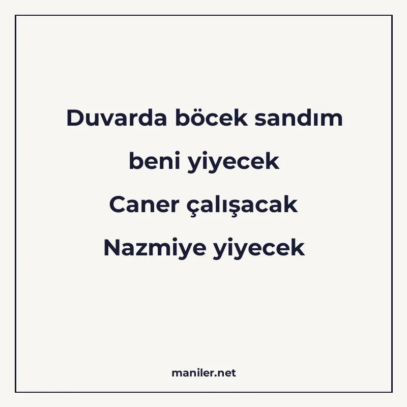 Duvarda böcek sandım beni yiyecek Caner çalışacak Nazmiye yi