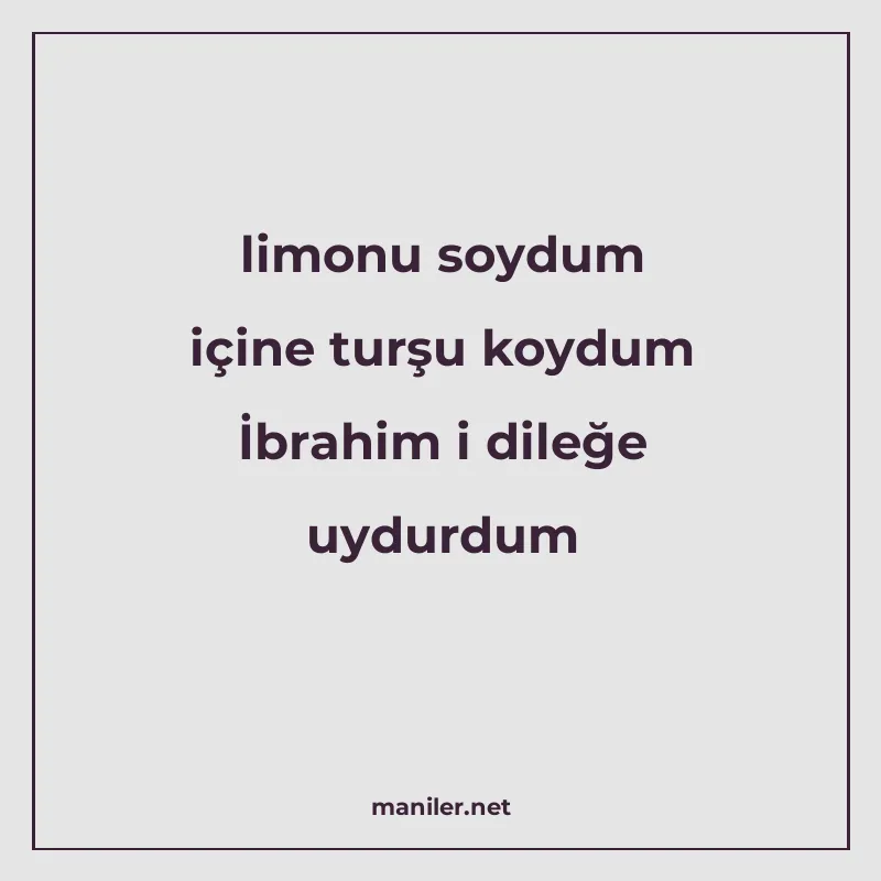 limonu soydum içine turşu koydum İbrahim i dileğe uydurdum manisi görseli