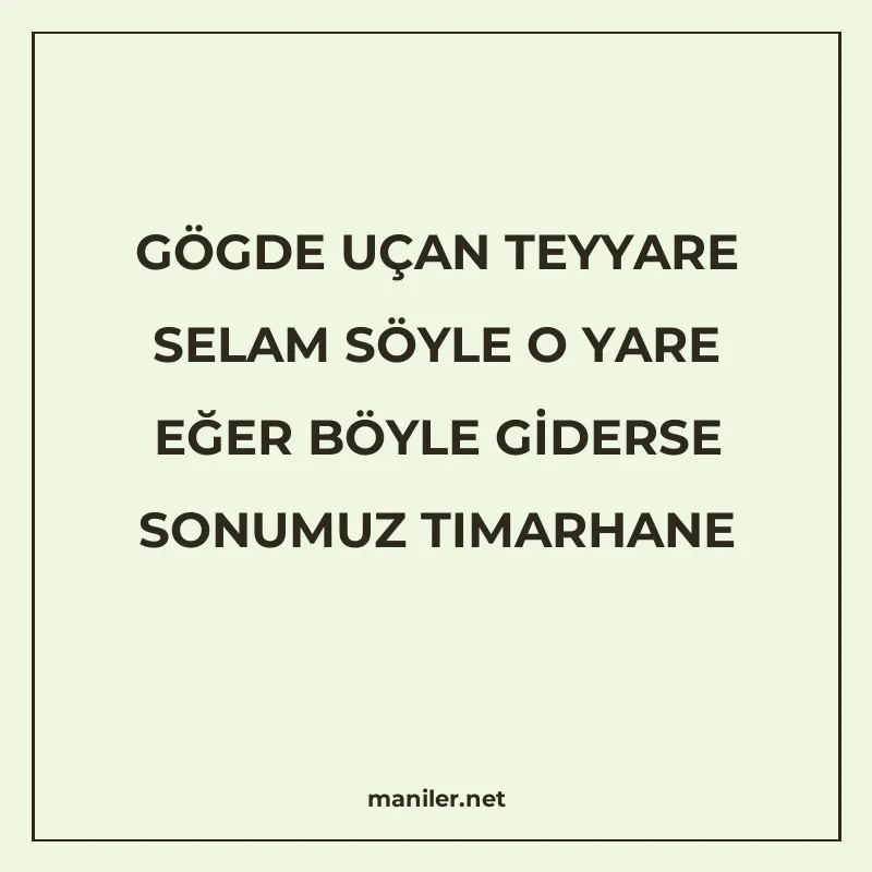 GÖGDE UÇAN TEYYARE SELAM SÖYLE O YARE EĞER BÖYLE GİDERSE SON manisi görseli