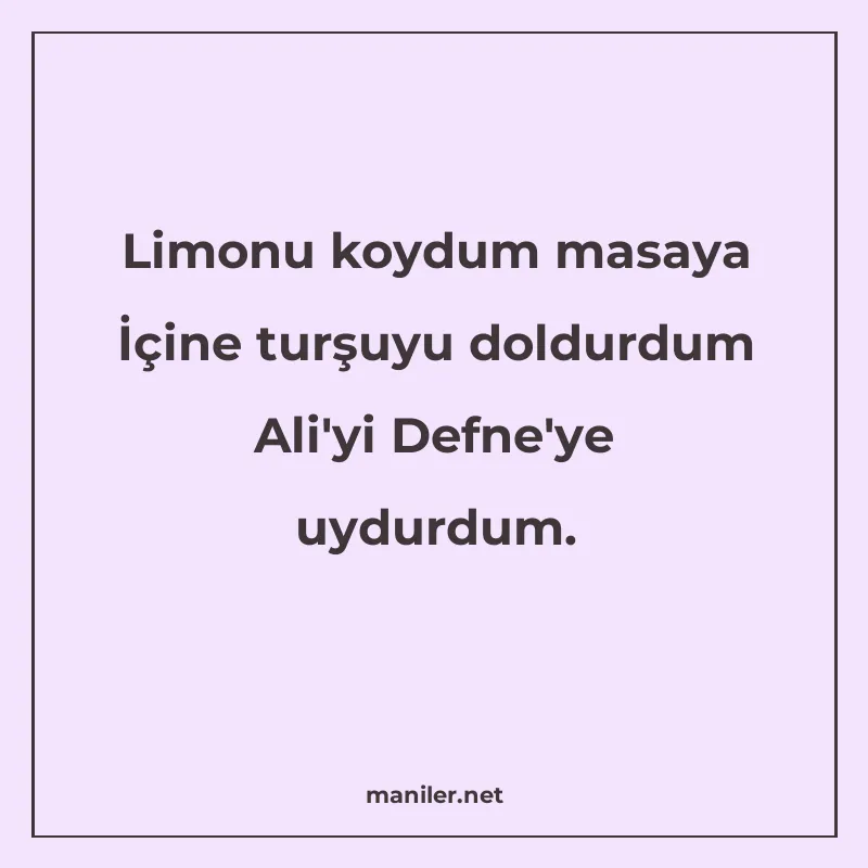 Limonu koydum masaya İçine turşuyu doldurdum Ali'yi Defne'ye manisi görseli