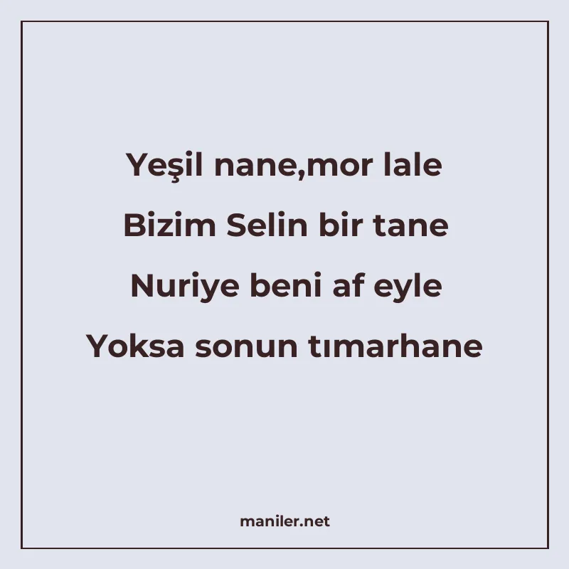 Yeşil nane,mor lale Bizim Selin bir tane Nuriye beni af eyle manisi görseli