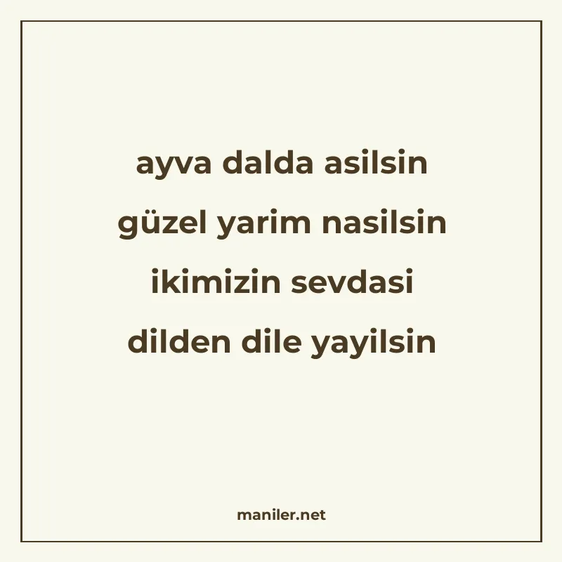 ayva dalda asilsin güzel yarim nasilsin ikimizin sevdasi dil manisi görseli