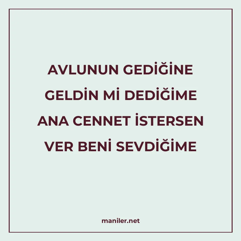 AVLUNUN GEDİĞİNE GELDİN Mİ DEDİĞİME ANA CENNET İSTERSEN VER manisi görseli