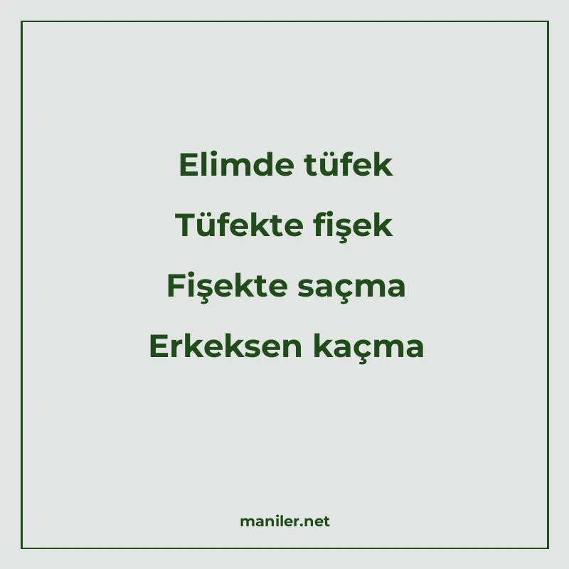Elimde tüfek Tüfekte fişek Fişekte saçma Erkeksen kaçma manisi görseli
