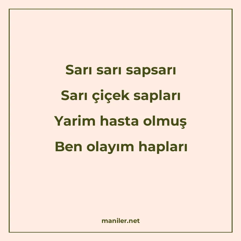 Sarı sarı sapsarı Sarı çiçek sapları Yarim hasta olmuş Ben o manisi görseli