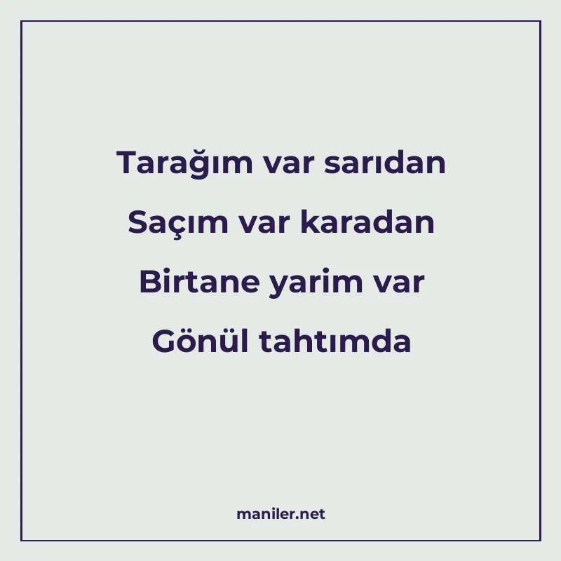 Tarağım var sarıdan Saçım var karadan Birtane yarim var Gönü manisi görseli