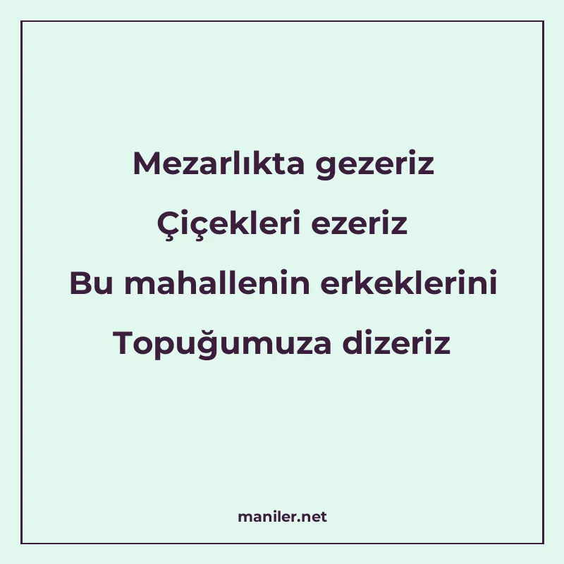 Mezarlıkta gezeriz Çiçekleri ezeriz Bu mahallenin erkeklerin manisi görseli