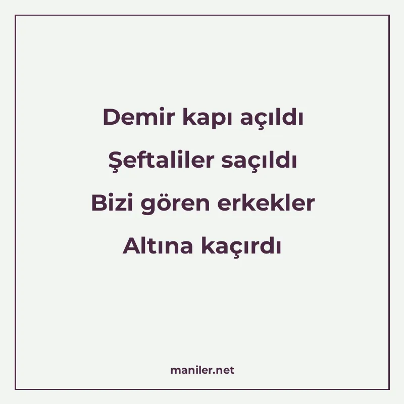 Demir kapı açıldı Şeftaliler saçıldı Bizi gören erkekler Alt manisi görseli