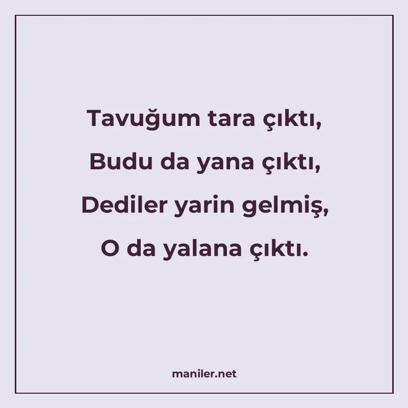 Tavuğum tara çıktı, Budu da yana çıktı, Dediler yarin gelmiş manisi görseli