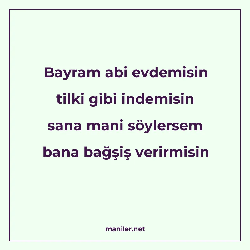 Bayram abi evdemisin tilki gibi indemisin sana mani söylerse manisi görseli