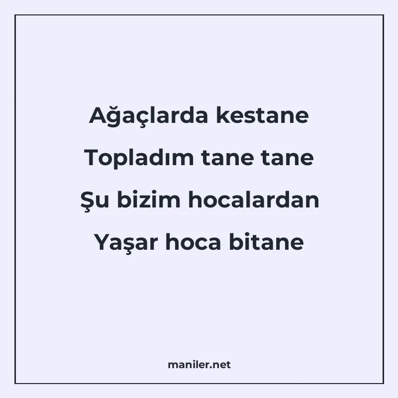 Ağaçlarda kestane Topladım tane tane Şu bizim hocalardan Yaş manisi görseli