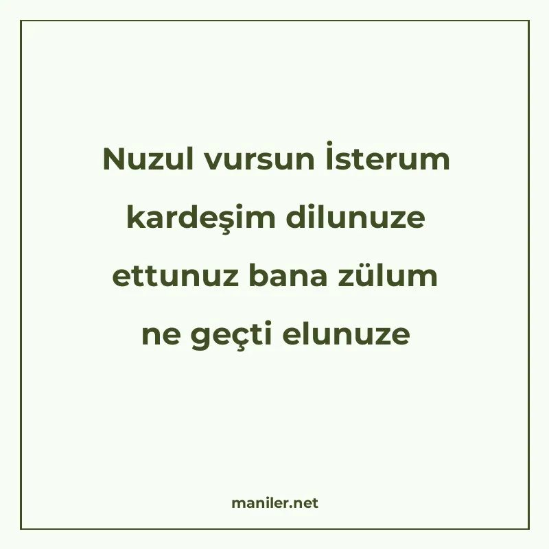 Nuzul vursun İsterum kardeşim dilunuze ettunuz bana zülum ne manisi görseli