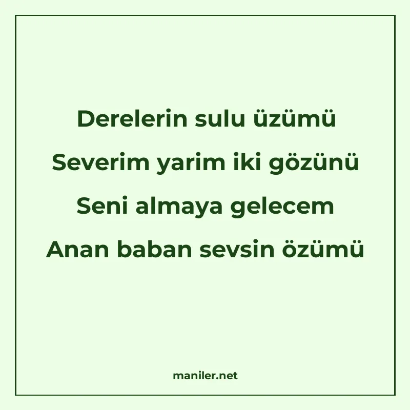 Derelerin sulu üzümü Severim yarim iki gözünü Seni almaya ge manisi görseli