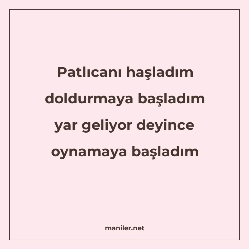 Patlıcanı haşladım doldurmaya başladım yar geliyor deyince o manisi görseli