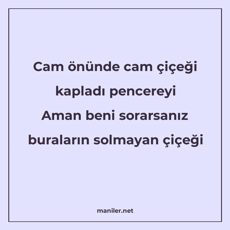 Cam önünde cam çiçeği kapladı pencereyi Aman beni sorarsanız