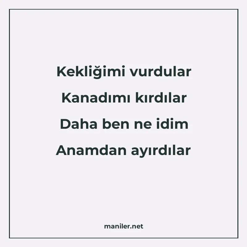 Kekliğimi vurdular Kanadımı kırdılar Daha ben ne idim Anamda manisi görseli