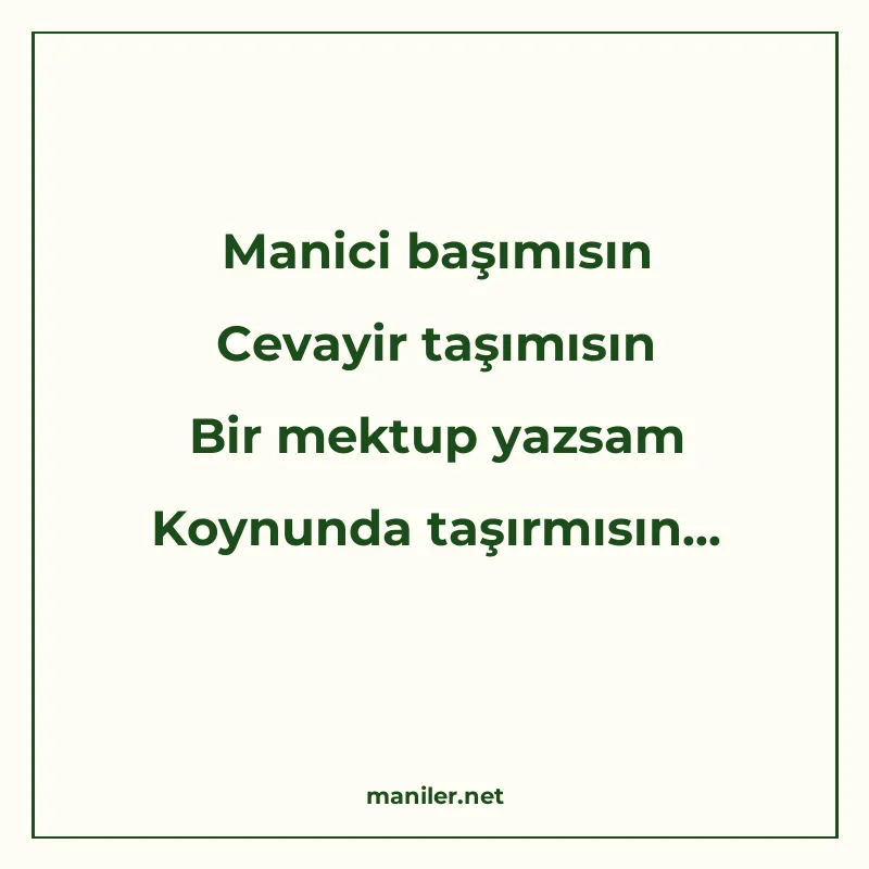 Manici başımısın Cevayir taşımısın Bir mektup yazsam Koynund manisi görseli