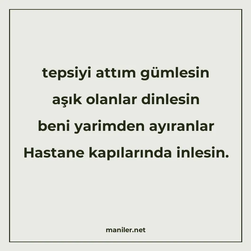tepsiyi attım gümlesin aşık olanlar dinlesin beni yarimden a manisi görseli