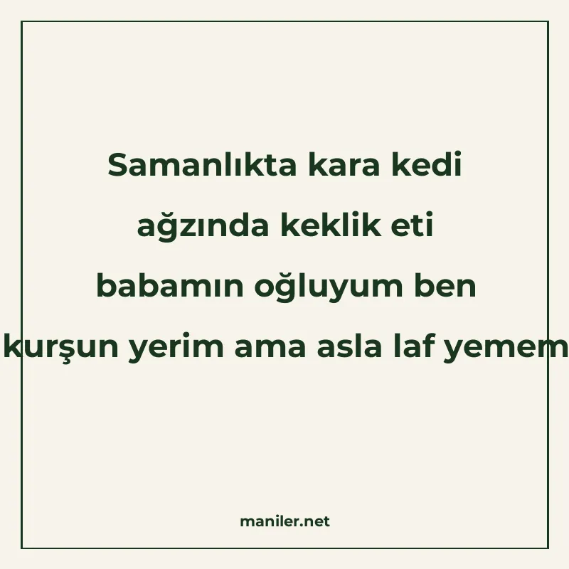 Samanlıkta kara kedi ağzında keklik eti babamın oğluyum ben manisi görseli