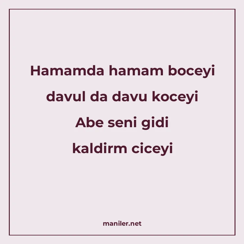 Hamamda hamam boceyi davul da davu koceyi Abe seni gidi kald manisi görseli