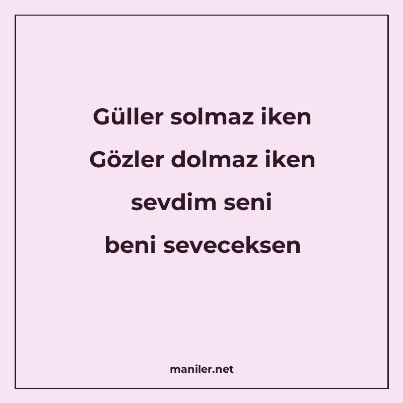 Güller solmaz iken Gözler dolmaz iken sevdim seni beni sevec manisi görseli