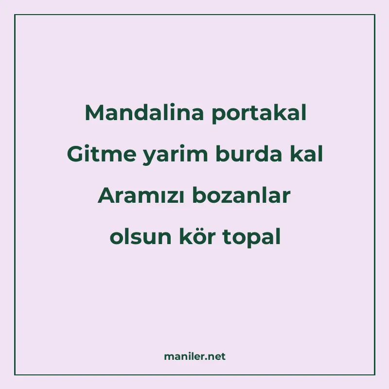 Mandalina portakal Gitme yarim burda kal Aramızı bozanlar ol manisi görseli