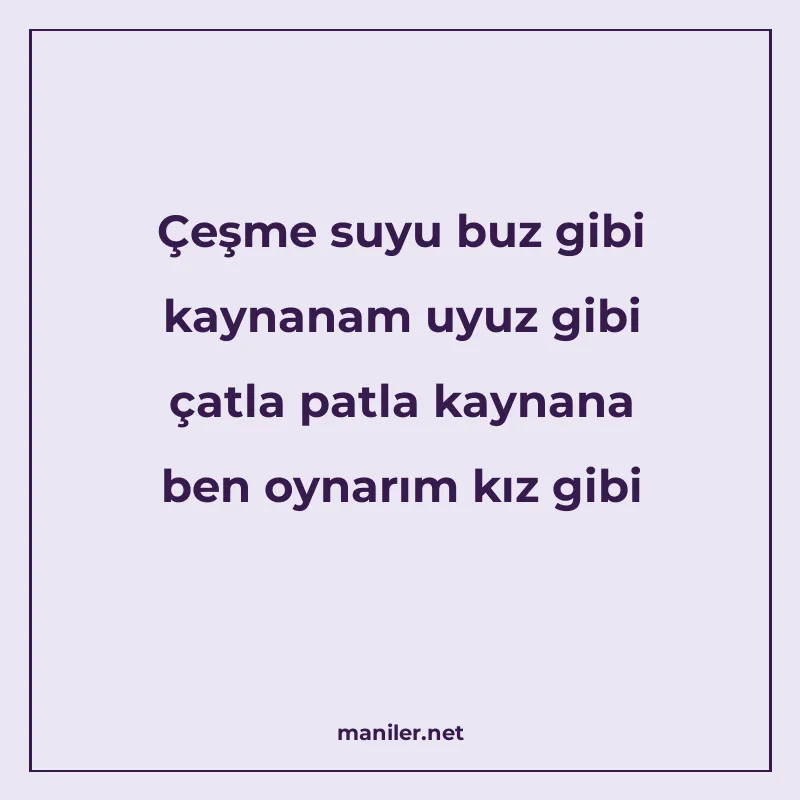 Çeşme suyu buz gibi kaynanam uyuz gibi çatla patla kaynana b manisi görseli