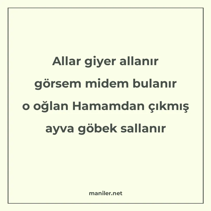 Allar giyer allanır görsem midem bulanır o oğlan Hamamdan çı manisi görseli