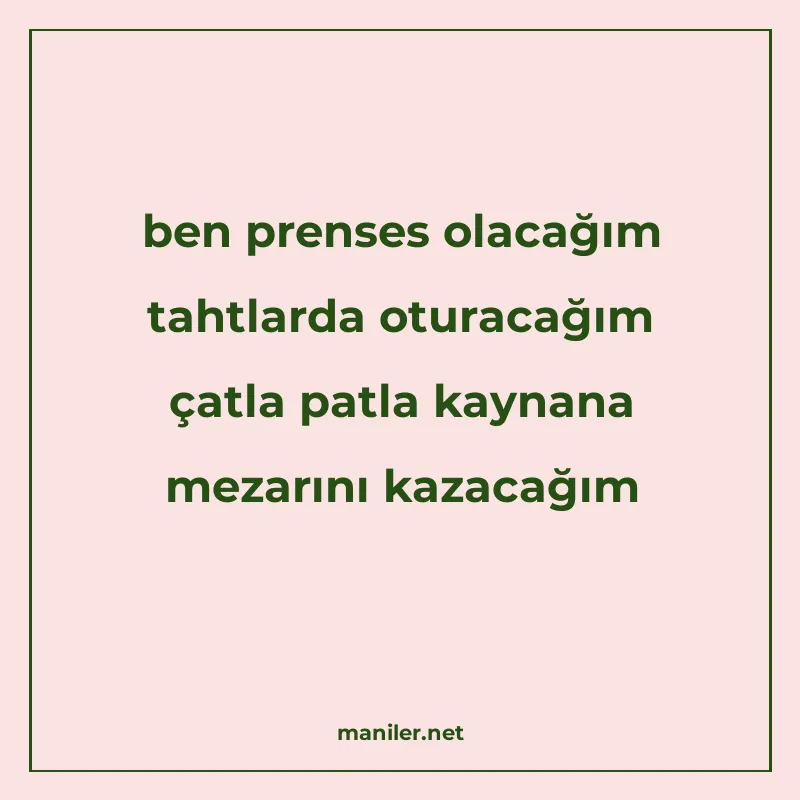 ben prenses olacağım tahtlarda oturacağım çatla patla kaynan manisi görseli