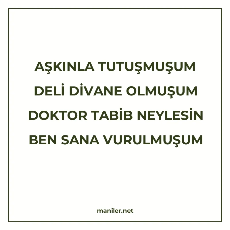 AŞKINLA TUTUŞMUŞUM DELİ DİVANE OLMUŞUM DOKTOR TABİB NEYLESİN manisi görseli