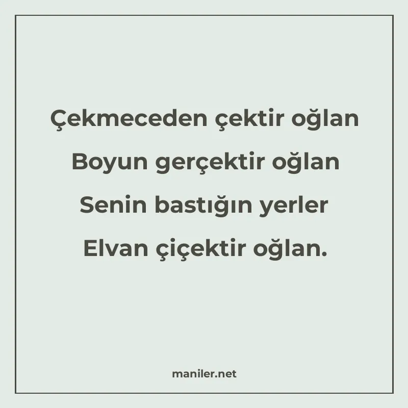 Çekmeceden çektir oğlan Boyun gerçektir oğlan Senin bastığın manisi görseli