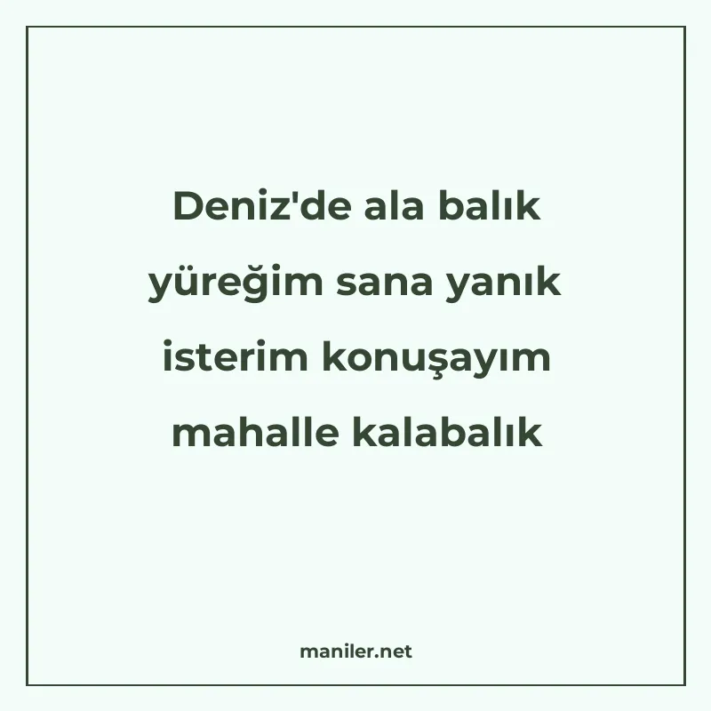 Deniz'de ala balık yüreğim sana yanık isterim konuşayım maha manisi görseli